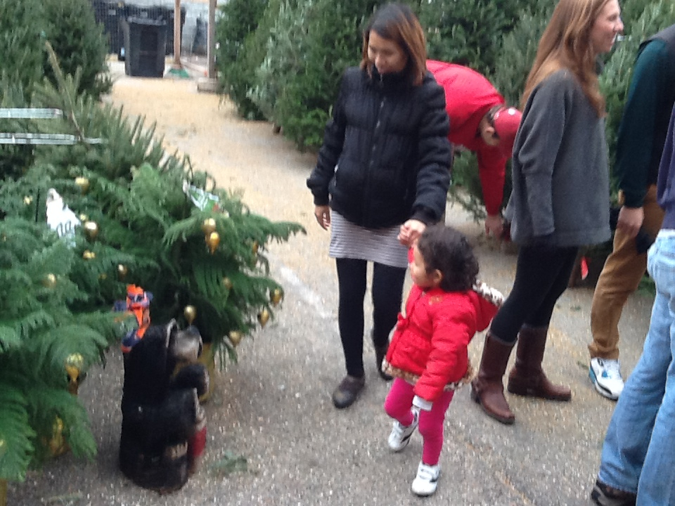 family buying a christmas tree