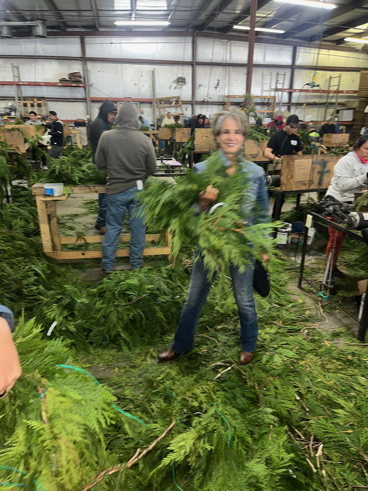 Holding branch at Tree workshop