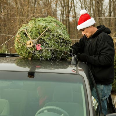 family buying a christmas tree