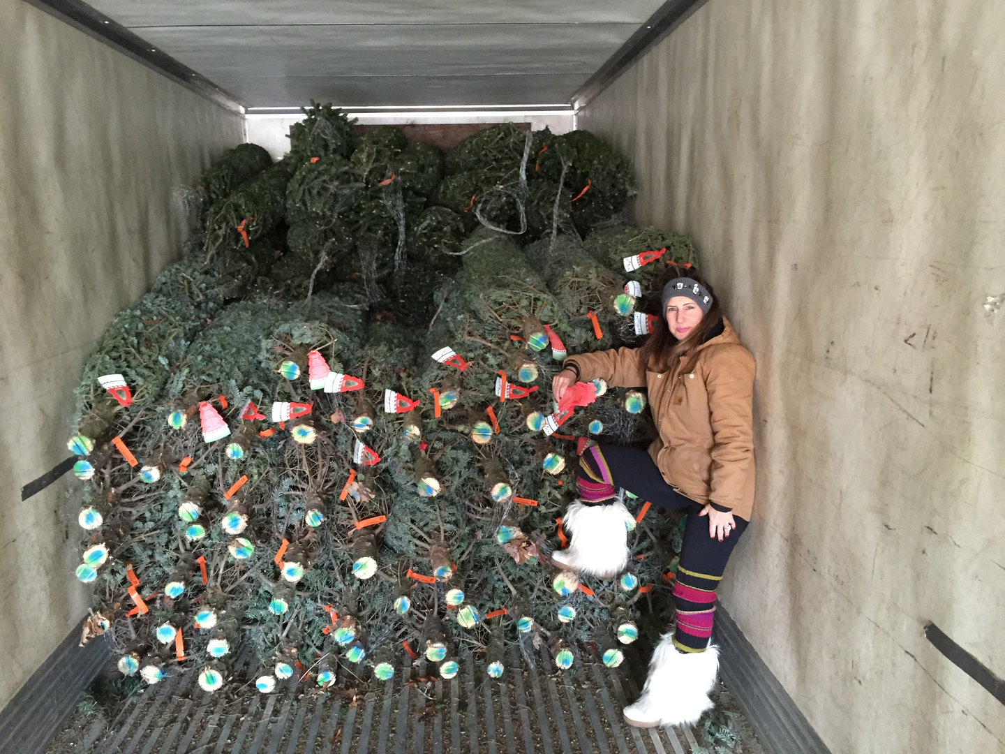 christmas tree delivery