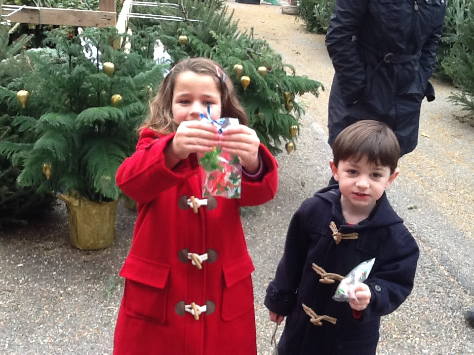 family buying a christmas tree