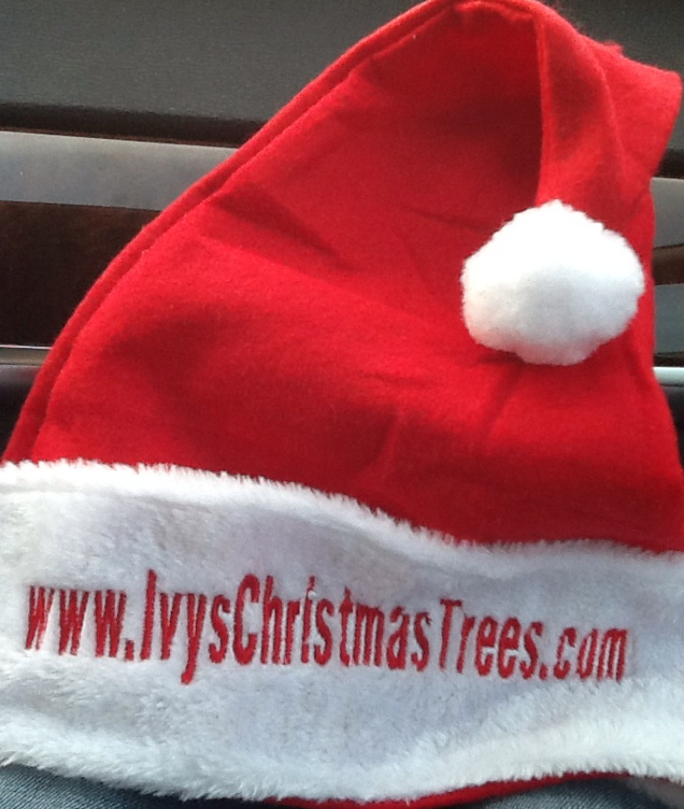 Santa Hat with url embroidered
