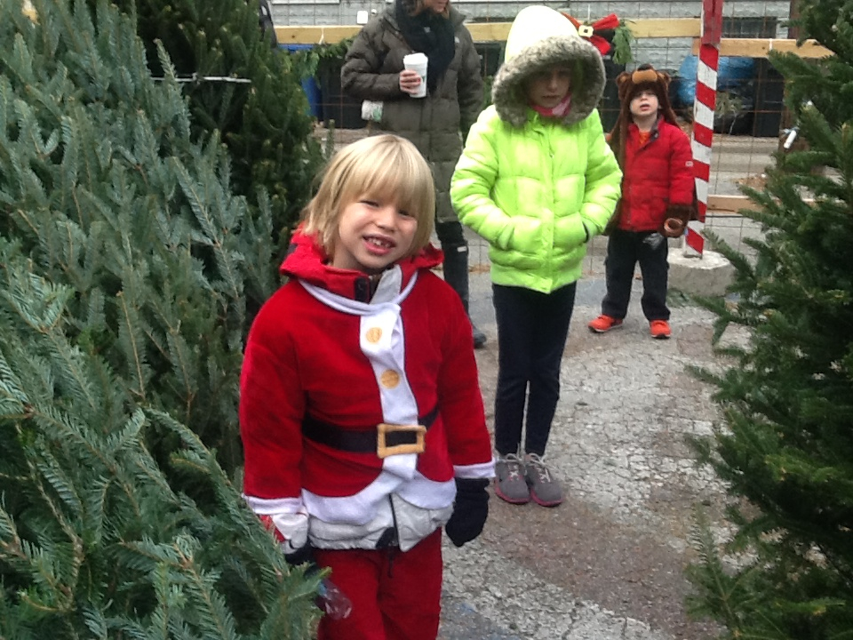family buying a christmas tree