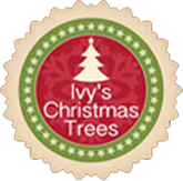 Ivy's Christmas Trees